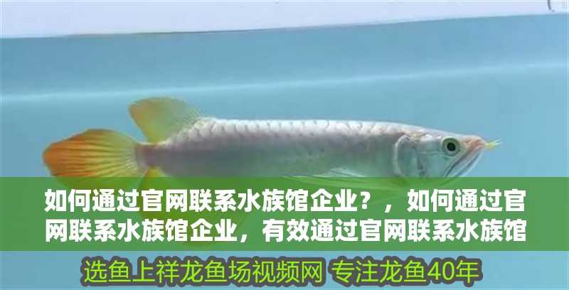 如何通過官網聯系水族館企業？，如何通過官網聯系水族館企業，有效通過官網聯系水族館企業
