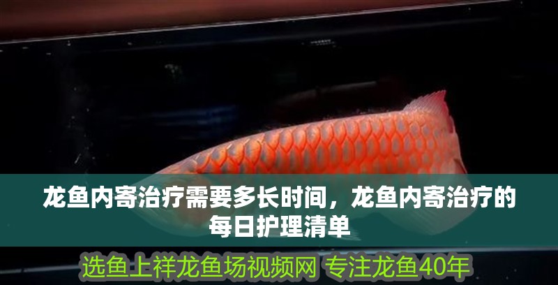 龍魚內寄治療需要多長時間，龍魚內寄治療的每日護理清單