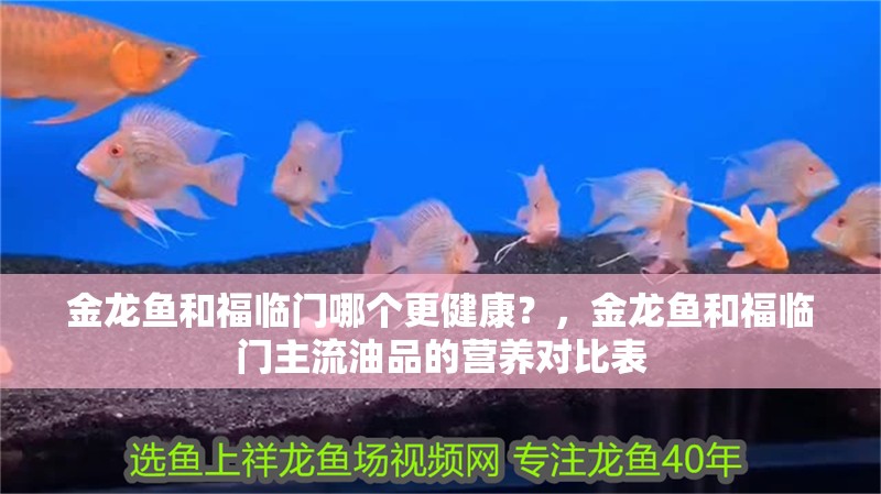 金龍魚和福臨門哪個更健康？，金龍魚和福臨門主流油品的營養對比表