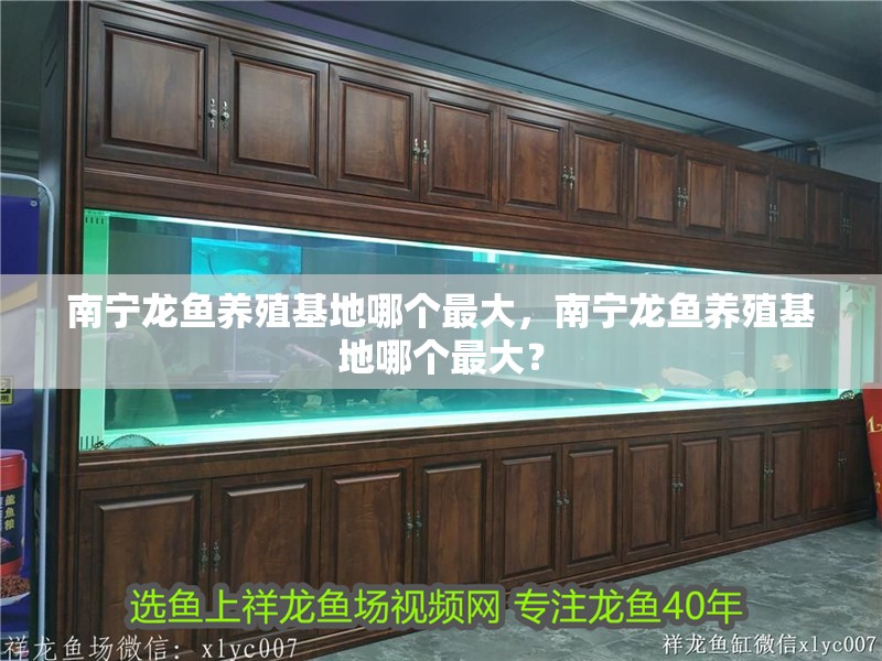 南寧龍魚養(yǎng)殖基地哪個最大，南寧龍魚養(yǎng)殖基地哪個最大？
