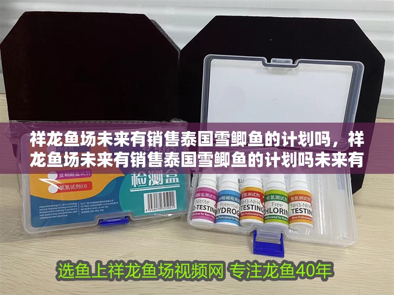 祥龍魚場(chǎng)未來有銷售泰國(guó)雪鯽魚的計(jì)劃嗎，祥龍魚場(chǎng)未來有銷售泰國(guó)雪鯽魚的計(jì)劃嗎未來有哪些新品種計(jì)劃
