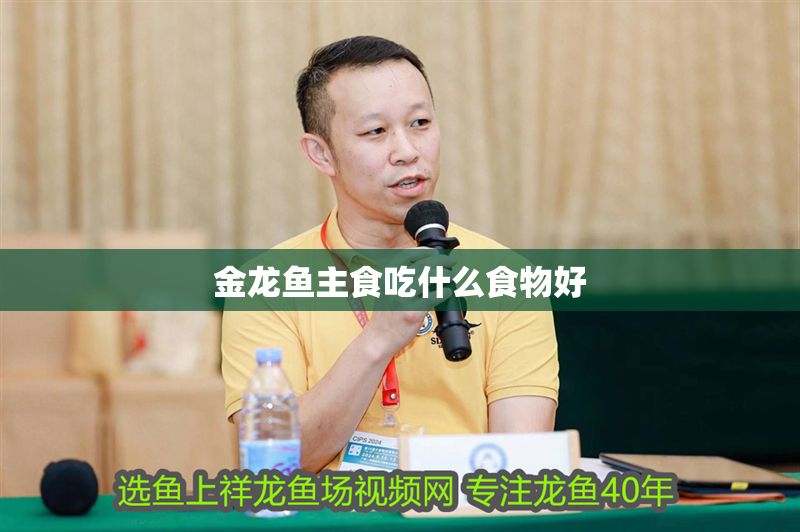 金龍魚主食吃什么食物好