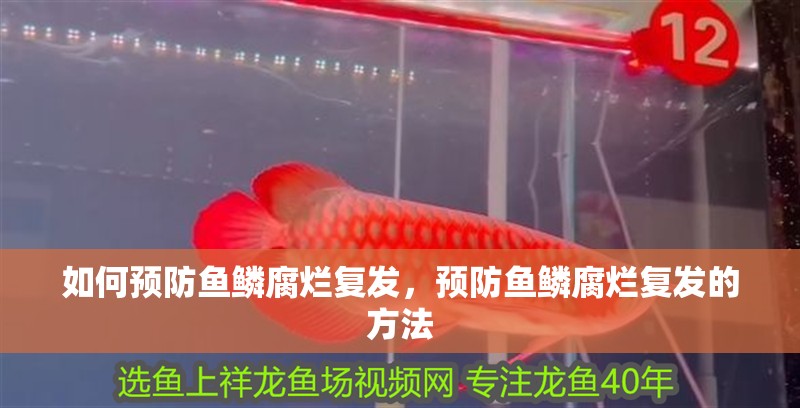 如何預防魚鱗腐爛復發，預防魚鱗腐爛復發的方法