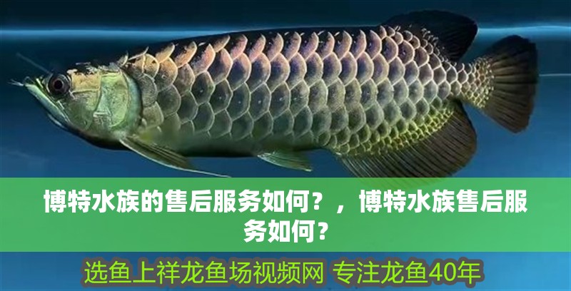 博特水族的售后服務如何？，博特水族售后服務如何？