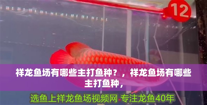祥龍魚場有哪些主打魚種？，祥龍魚場有哪些主打魚種，