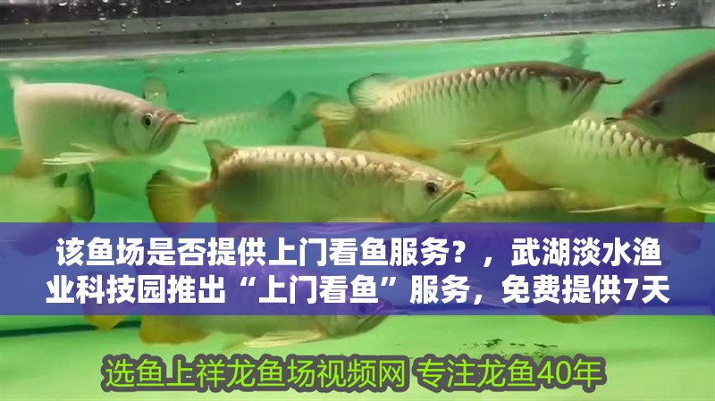 該魚場是否提供上門看魚服務？，武湖淡水漁業科技園推出“上門看魚”服務，免費提供7天試養保障