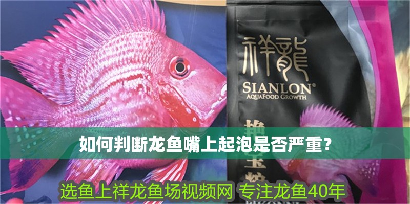 如何判斷龍魚嘴上起泡是否嚴重？