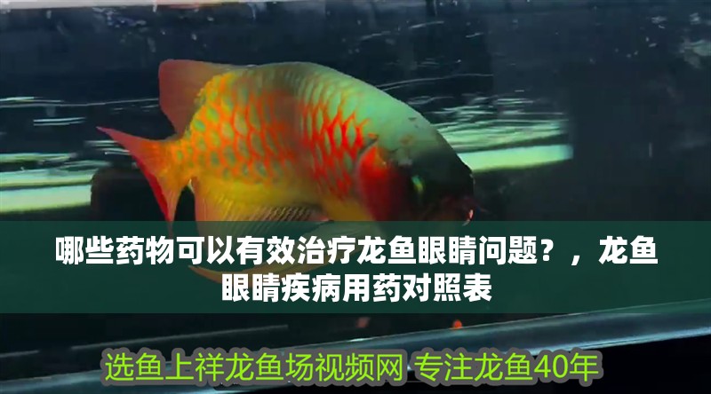 哪些藥物可以有效治療龍魚眼睛問題？，龍魚眼睛疾病用藥對照表