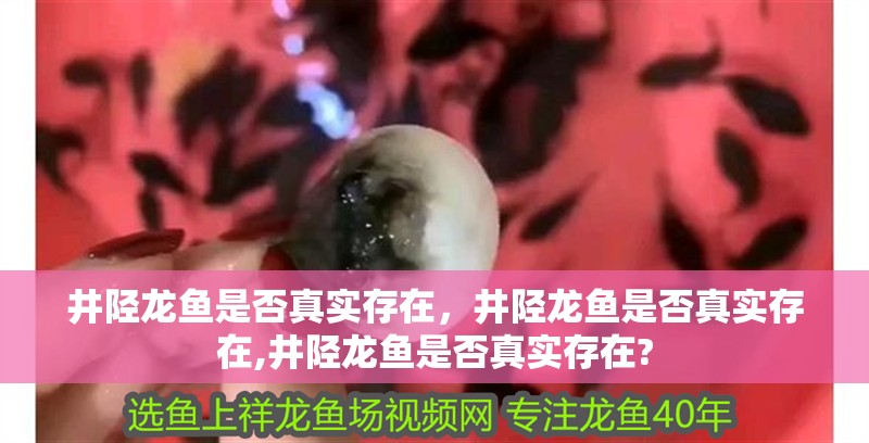 井陘龍魚是否真實(shí)存在，井陘龍魚是否真實(shí)存在,井陘龍魚是否真實(shí)存在?