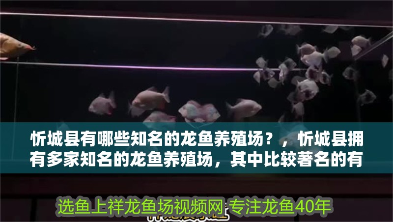 忻城縣有哪些知名的龍魚養(yǎng)殖場？，忻城縣擁有多家知名的龍魚養(yǎng)殖場，其中比較著名的有：