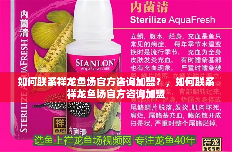 如何聯系祥龍魚場官方咨詢加盟？，如何聯系祥龍魚場官方咨詢加盟