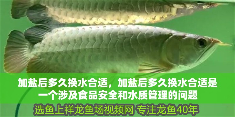加鹽后多久換水合適，加鹽后多久換水合適是一個涉及食品安全和水質管理的問題