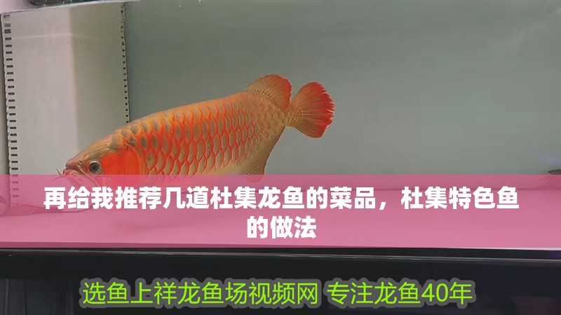 再給我推薦幾道杜集龍魚的菜品，杜集特色魚的做法