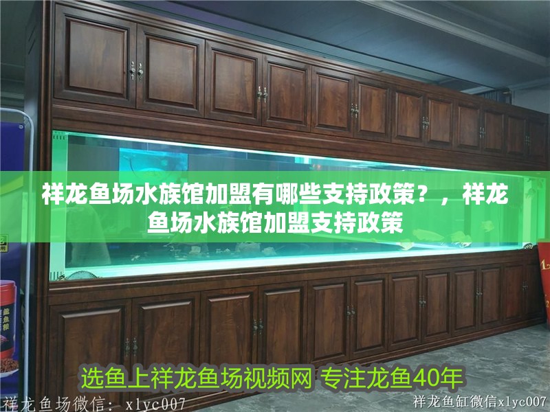 祥龍魚場水族館加盟有哪些支持政策？，祥龍魚場水族館加盟支持政策