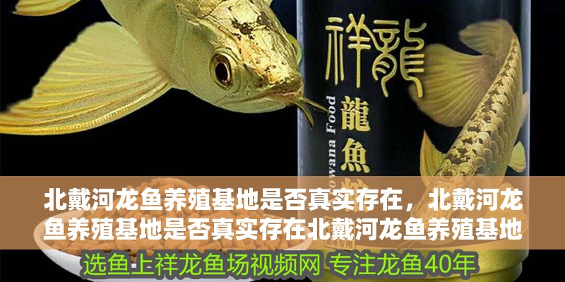 北戴河龍魚養殖基地是否真實存在，北戴河龍魚養殖基地是否真實存在北戴河龍魚養殖基地