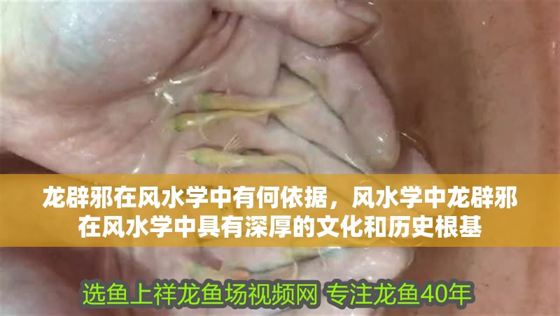龍辟邪在風(fēng)水學(xué)中有何依據(jù)，風(fēng)水學(xué)中龍辟邪在風(fēng)水學(xué)中具有深厚的文化和歷史根基