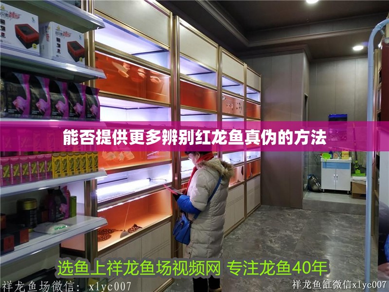 能否提供更多辨別紅龍魚真偽的方法