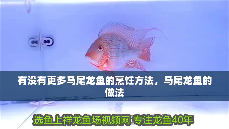 有沒有更多馬尾龍魚的烹飪方法，馬尾龍魚的做法