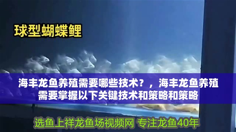 海豐龍魚養殖需要哪些技術？，海豐龍魚養殖需要掌握以下關鍵技術和策略和策略