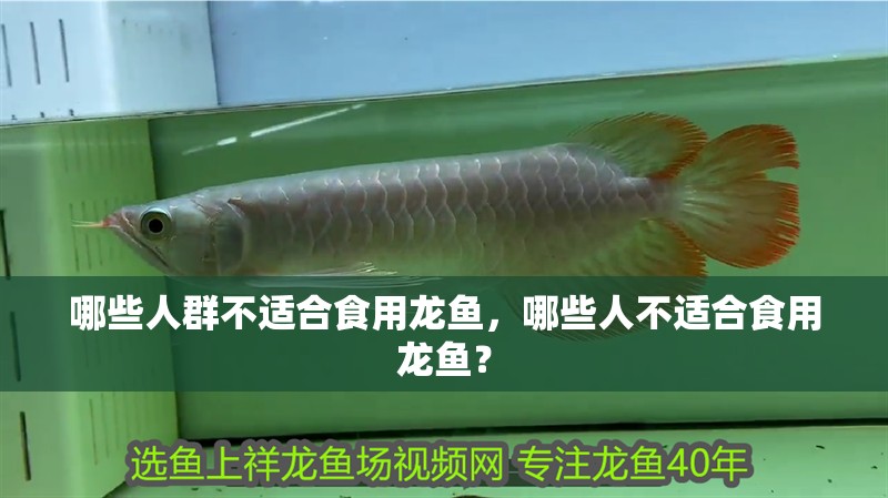 哪些人群不適合食用龍魚，哪些人不適合食用龍魚？