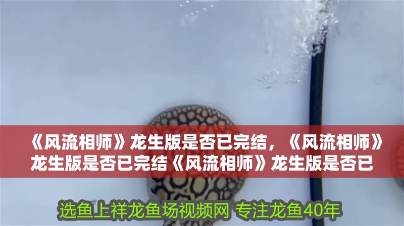 《風(fēng)流相師》龍生版是否已完結(jié)，《風(fēng)流相師》龍生版是否已完結(jié)《風(fēng)流相師》龍生版是否已完結(jié)