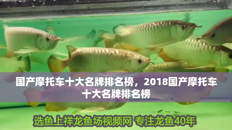 國產(chǎn)摩托車十大名牌排名榜，2018國產(chǎn)摩托車十大名牌排名榜