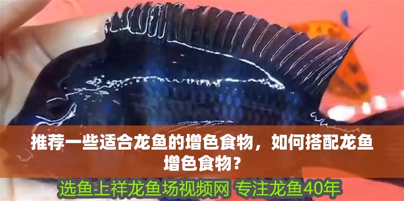 推薦一些適合龍魚的增色食物，如何搭配龍魚增色食物？