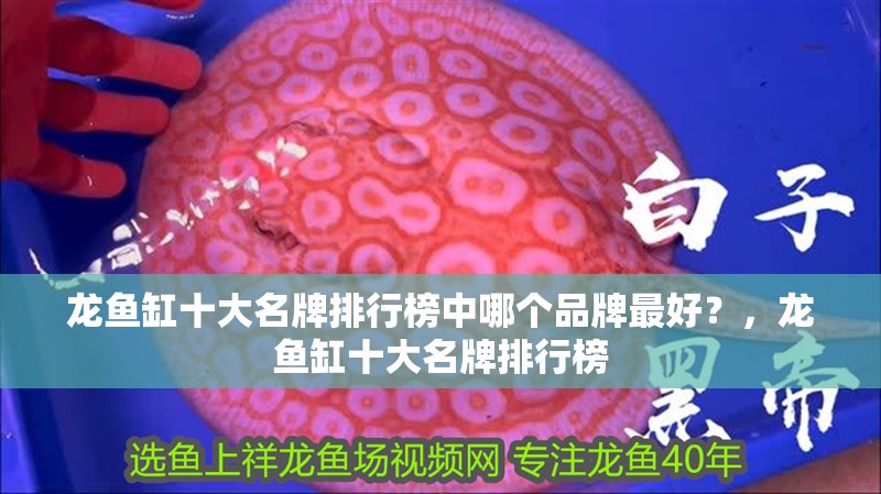 龍魚缸十大名牌排行榜中哪個品牌最好？，龍魚缸十大名牌排行榜