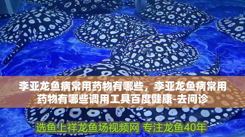 李亞龍魚病常用藥物有哪些，李亞龍魚病常用藥物有哪些調(diào)用工具百度健康-去問診