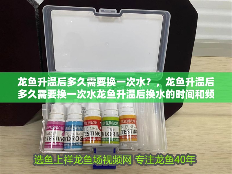 龍魚升溫后多久需要換一次水？，龍魚升溫后多久需要換一次水龍魚升溫后換水的時間和頻率