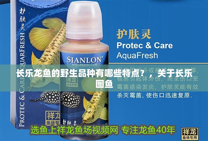 如何預(yù)防龍魚爛鰭，預(yù)防龍魚爛鰭的方法