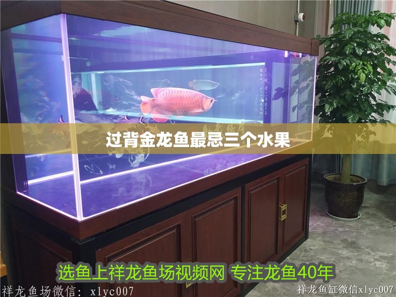 過背金龍魚最忌三個水果