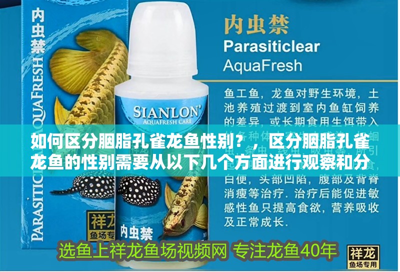 如何區分胭脂孔雀龍魚性別？，區分胭脂孔雀龍魚的性別需要從以下幾個方面進行觀察和分析