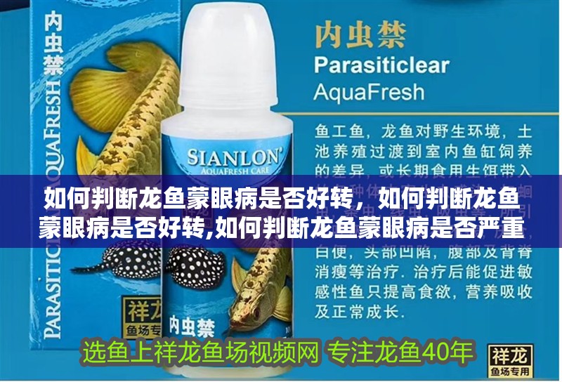 如何判斷龍魚蒙眼病是否好轉，如何判斷龍魚蒙眼病是否好轉,如何判斷龍魚蒙眼病是否嚴重
