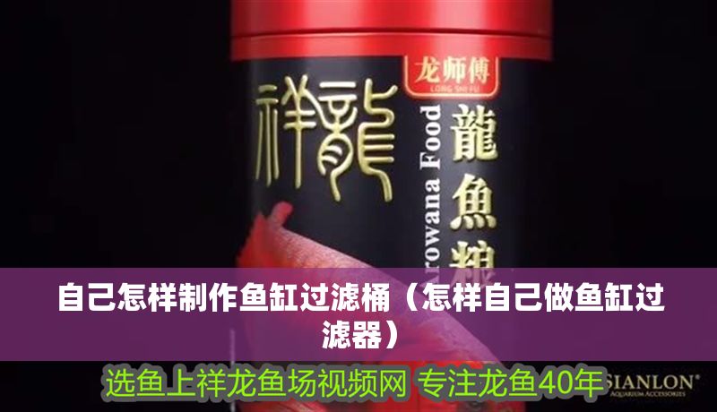 自己怎樣制作魚缸過濾桶（怎樣自己做魚缸過濾器）
