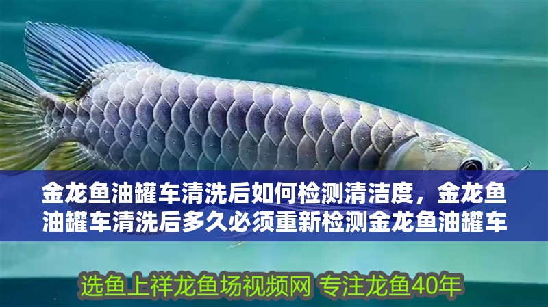 金龍魚(yú)油罐車(chē)清洗后如何檢測(cè)清潔度，金龍魚(yú)油罐車(chē)清洗后多久必須重新檢測(cè)金龍魚(yú)油罐車(chē)清潔度