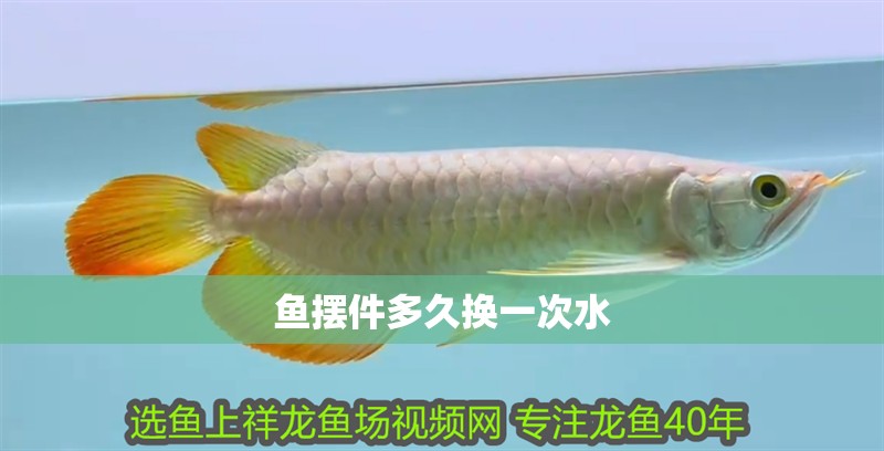 魚擺件多久換一次水