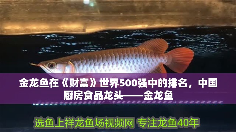 金龍魚在《財富》世界500強中的排名，中國廚房食品龍頭——金龍魚