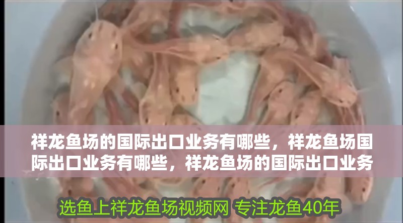 祥龍魚場的國際出口業(yè)務有哪些，祥龍魚場國際出口業(yè)務有哪些，祥龍魚場的國際出口業(yè)務有哪些