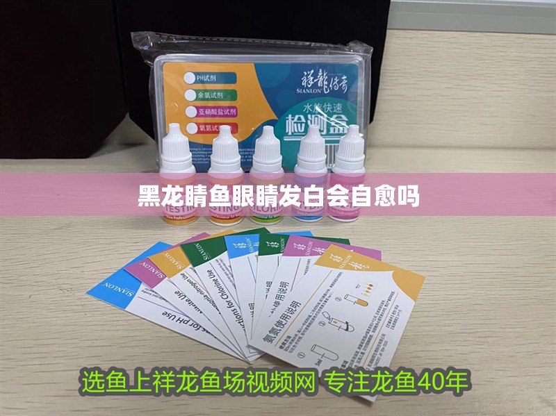 黑龍睛魚眼睛發(fā)白會自愈嗎