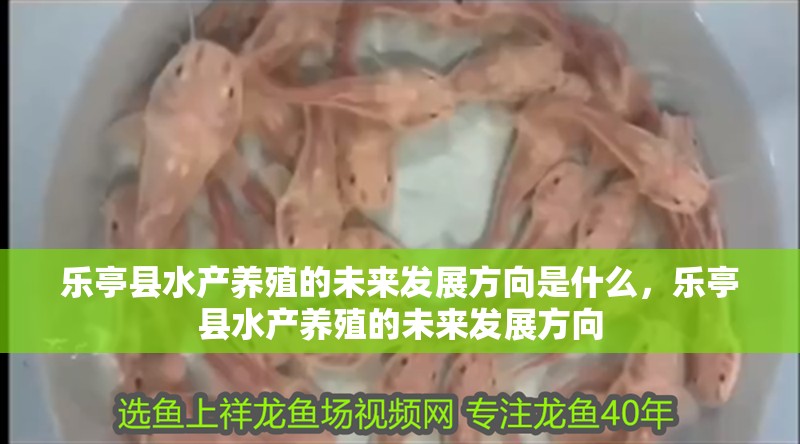 樂亭縣水產養(yǎng)殖的未來發(fā)展方向是什么，樂亭縣水產養(yǎng)殖的未來發(fā)展方向