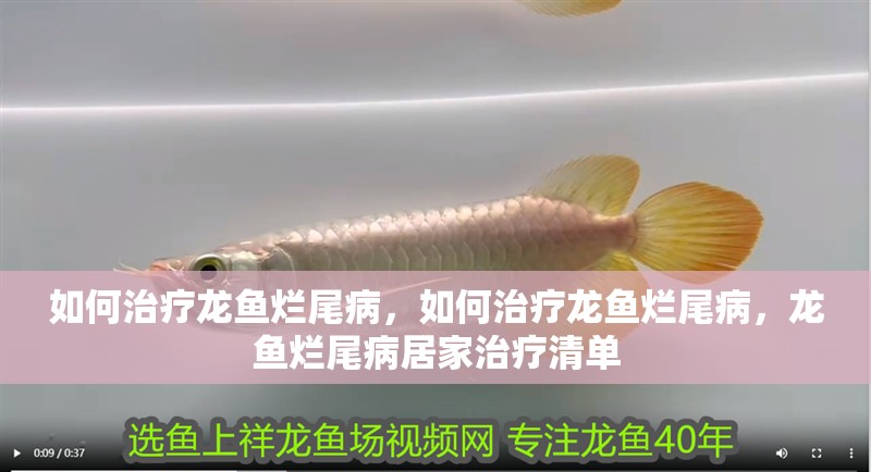 如何治療龍魚爛尾病，如何治療龍魚爛尾病，龍魚爛尾病居家治療清單