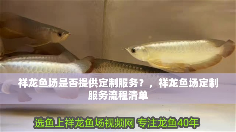 祥龍魚(yú)場(chǎng)是否提供定制服務(wù)？，祥龍魚(yú)場(chǎng)定制服務(wù)流程清單