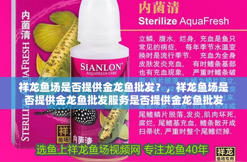 祥龍魚場是否提供金龍魚批發(fā)？，祥龍魚場是否提供金龍魚批發(fā)服務(wù)是否提供金龍魚批發(fā)
