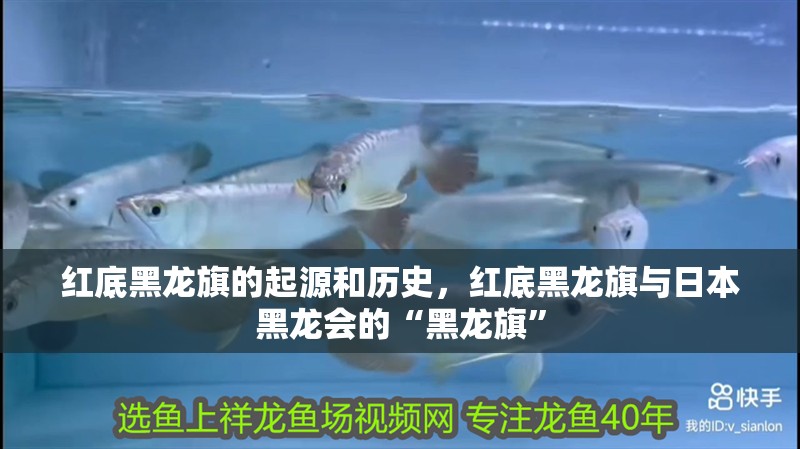 紅底黑龍旗的起源和歷史，紅底黑龍旗與日本黑龍會的“黑龍旗”