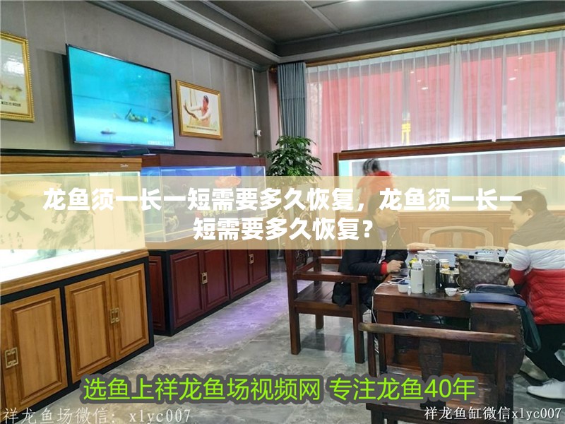 龍魚須一長一短需要多久恢復，龍魚須一長一短需要多久恢復？