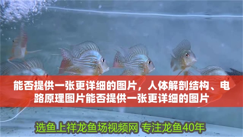 龍魚張嘴是缺氧還是水質(zhì)問題？