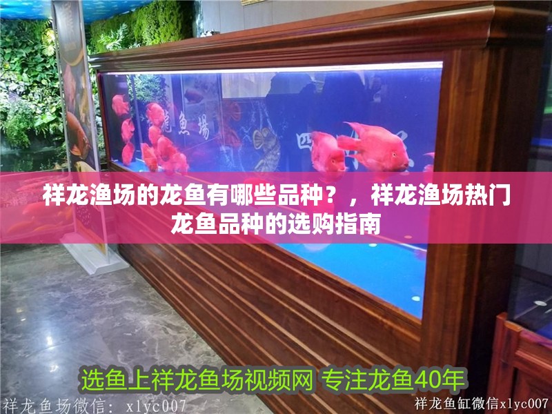 祥龍漁場的龍魚有哪些品種？，祥龍漁場熱門龍魚品種的選購指南