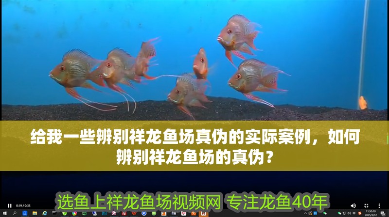 給我一些辨別祥龍魚場真偽的實際案例，如何辨別祥龍魚場的真偽？