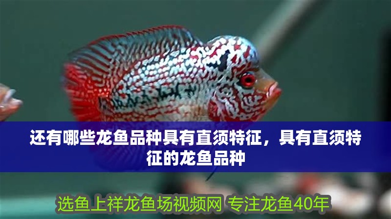 還有哪些龍魚品種具有直須特征，具有直須特征的龍魚品種